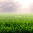 오진아 농촌치유농장 | 우수치유농업시설(인증제 선정된)에 방문하고 선물 받자 4월 6일~17일 '농촌관광 가는 주간' 이벤트 총정리