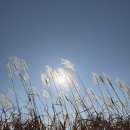 치킨플러스포천관인점 | [하늘공원맛집] 두끼 홈플러스상암월드컵점 솔직후기