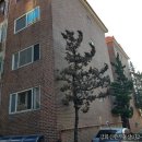 강화도공인중개사사무소 이미지