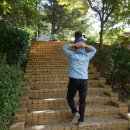 무양공원 유아숲체험원 이미지