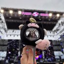 온씨씨티비 | 지석이 보러가기 3탄(사운드플래닛페스티벌 2025 1일차 후기, 엑스디너리히어로즈, YB)
