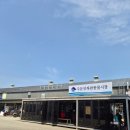주문진 여행 어시장 어민수산시장과 좌판풍물시장 차이점 내돈내산 솔직후기