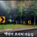 주식회사 다연 이미지
