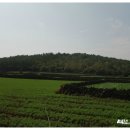 거로사거리(제주방면)