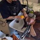 다인에스테틱앤스파 | [신림] 헤드스파 추천│아늑 에스테틱 앤 헤드 스파 두피관리 후기| 신림피부관리,신림윤곽관리