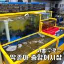 딱좋아종합어시장포장