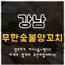무한숯불양꼬치&훠궈 이미지