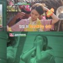 감동투어 이미지