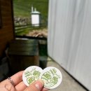 우산목장 | [대관령] '대관령 양떼목장'에서 귀여운 양으로 힐링 힐링한 후기 #내돈내산