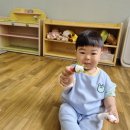 신동약국 | [ 주간일기 ] 고단했던 파라다이스시티 호캉스 / 핑크빛 벚꽃구경 26. 3. 30 ~ 26. 4. 5