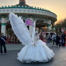 앨리스상점 | 이월드 앨리스퍼레이드 야간벚꽃구경 후기 대구 벚꽃만개시기