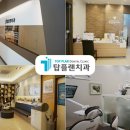 탑플랜주 이미지
