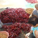 빛들마을 이미지