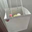 라벨르(la belle) | 대구 용돈 꽃박스, 용돈박스, 플라워박스 추천-대구 라벨르(la belle)