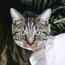 다민동물병원 이미지