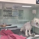 다봄 동물병원 이미지