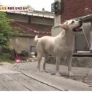 호야농장 이미지