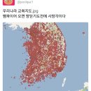 우리나라에 뱀파이어가 없는이유 이미지