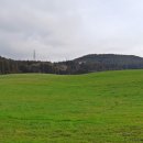 꽃길만걷자 이미지