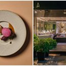 오프더팻(OFF THE FAT) 이미지