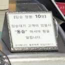 남해-174 | 경남 남해: 남해 여행 필수 코스 '사천 케이블카'