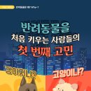 분당24시동물의료센터 이미지