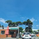 삼성 교통박물관 | 용인 자동차 박물관/삼성 교통 박물관 내돈내산 후기/삼성 모빌리티 뮤지엄 가족과 함께