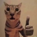 세븐일레븐김천평화스타점 | 2025 겨울 오사카 여행 (2)