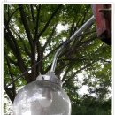 피덕농장 이미지