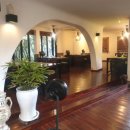 더 스위트타이 이미지