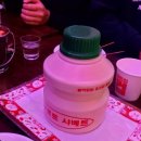 동승양꼬치