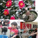 동백자연에너지 이미지