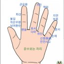 순행운수 이미지