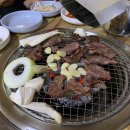식육점 - 서구 해돋이로 309 | 식육점