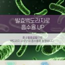 충북인삼농협고려인삼창
