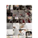 진보퍼피 이미지