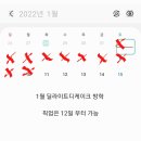 딜라이트디케이크