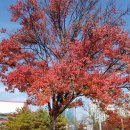 한아름근린공원 이미지