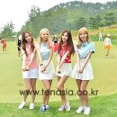 스텔라 이미지