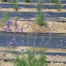 허브아일랜드민박 이미지