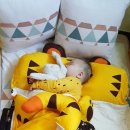 진인어린이집 이미지