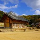 ＜무위사無爲寺 항변＞전남 강진 무위사에 가면 과격하게 이미지