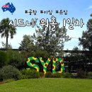 민토피아