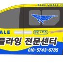 블루웨일플라잉센터송산점