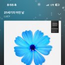 루시 21세기의 어떤날＜--- 이노래 진짜 미친거임.???????? 이미지