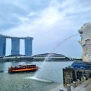 251113 [하나투어] 해외여행 출발전 안내 [싱가포르/싱가포르항공 인천공항] 이미지