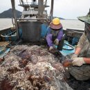 뽀빠이포토 이미지