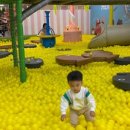 리틀히어로 ZOO 이미지