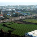 제2공항 예정지 성산읍 지역 '부동산 투기' 가려낸다 | 이미지