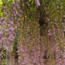 순천동산중학교 이미지